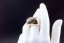 The Noble Signet – A Ring of Prestige & Power