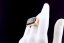 The Lord’s Signet – Majestic Medieval Ring