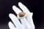 The Noble Signet – A Ring of Prestige & Power