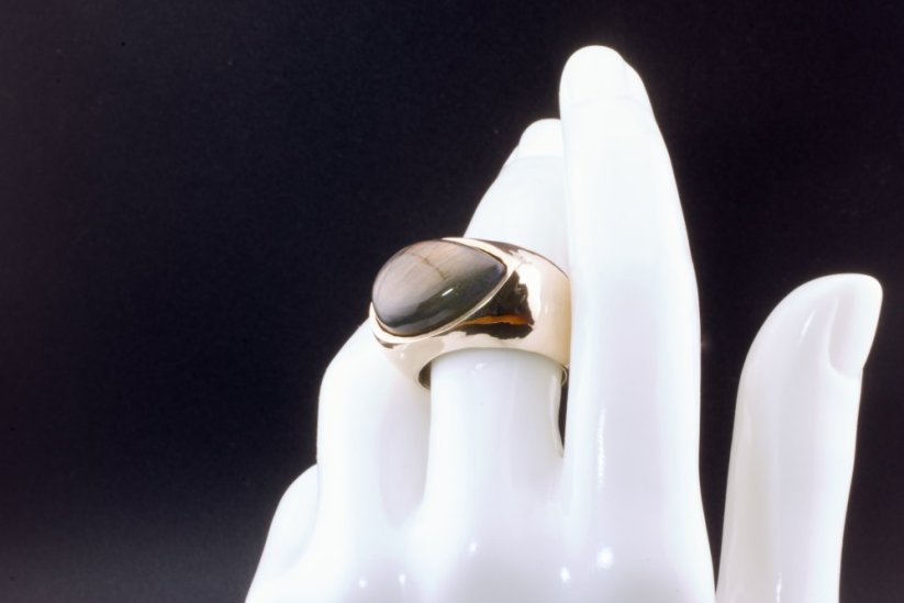 The Noble Signet – A Ring of Prestige & Power